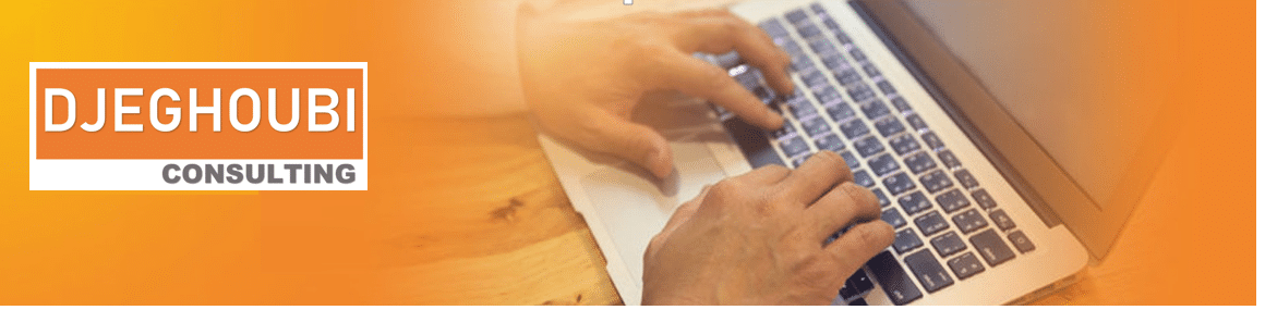 DJEGHOUBI Consulting