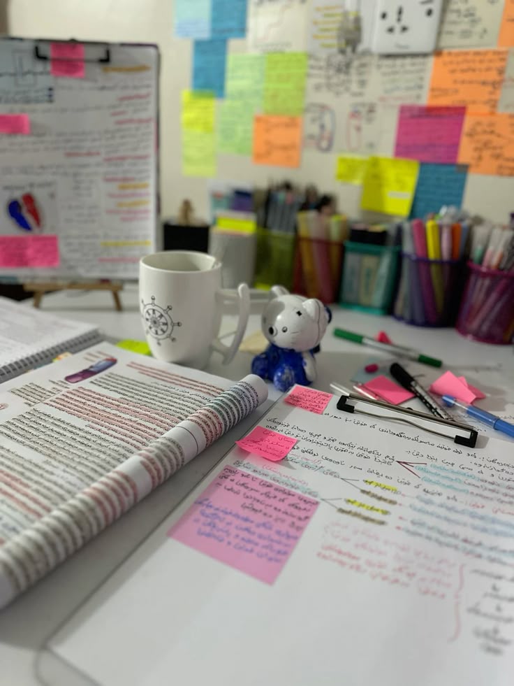 Rédaction et traduction dz