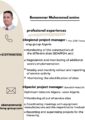 cv english