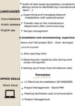 cv english