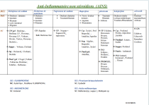 Guide Pratique de l&rsquo;Assistant en Pharmacie – Pack Officine