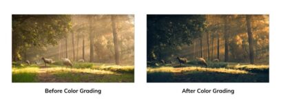 Montage vidéo & Color grading professionnal
