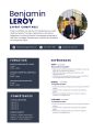 CV professionnel