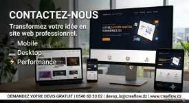 Je vais créer votre site web professionnel moderne et responsive