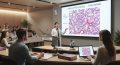Un pack complet en Histologie (1ère année médecine) Un pack complet en Histologie (1ère année médecine)