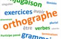 Je corrigerai n&rsquo;importe quel document en français