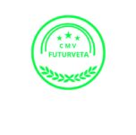 Création de logo