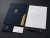 Professional Logo and Visual Identity Design
