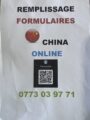 Remplissage de formulaires de visa pour la Chine (L, M, X, Z, etc.)