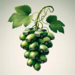 conception d&rsquo;images publicitaires et de logos